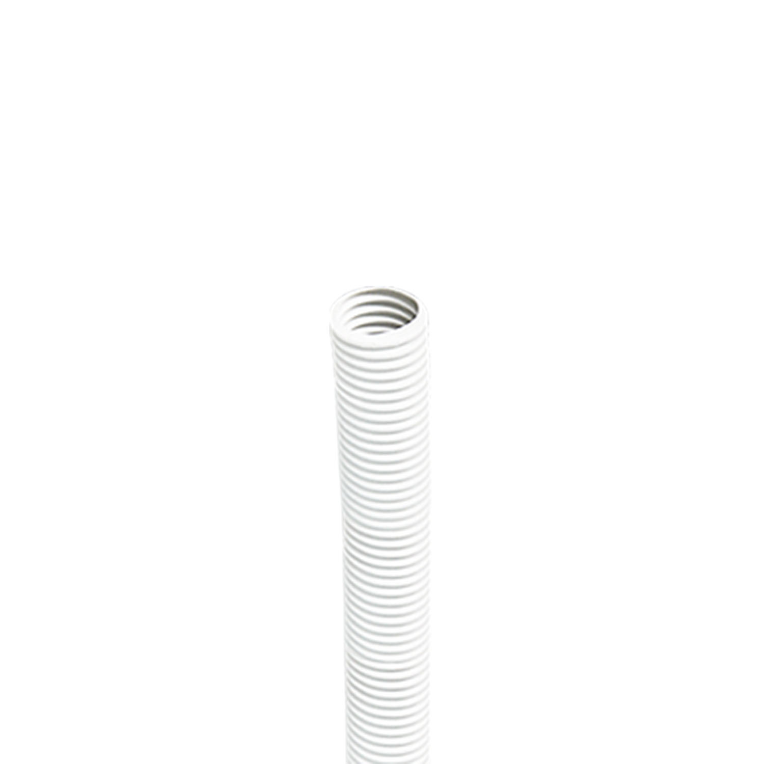 1626212815004_1.jpg 1626212815004_1