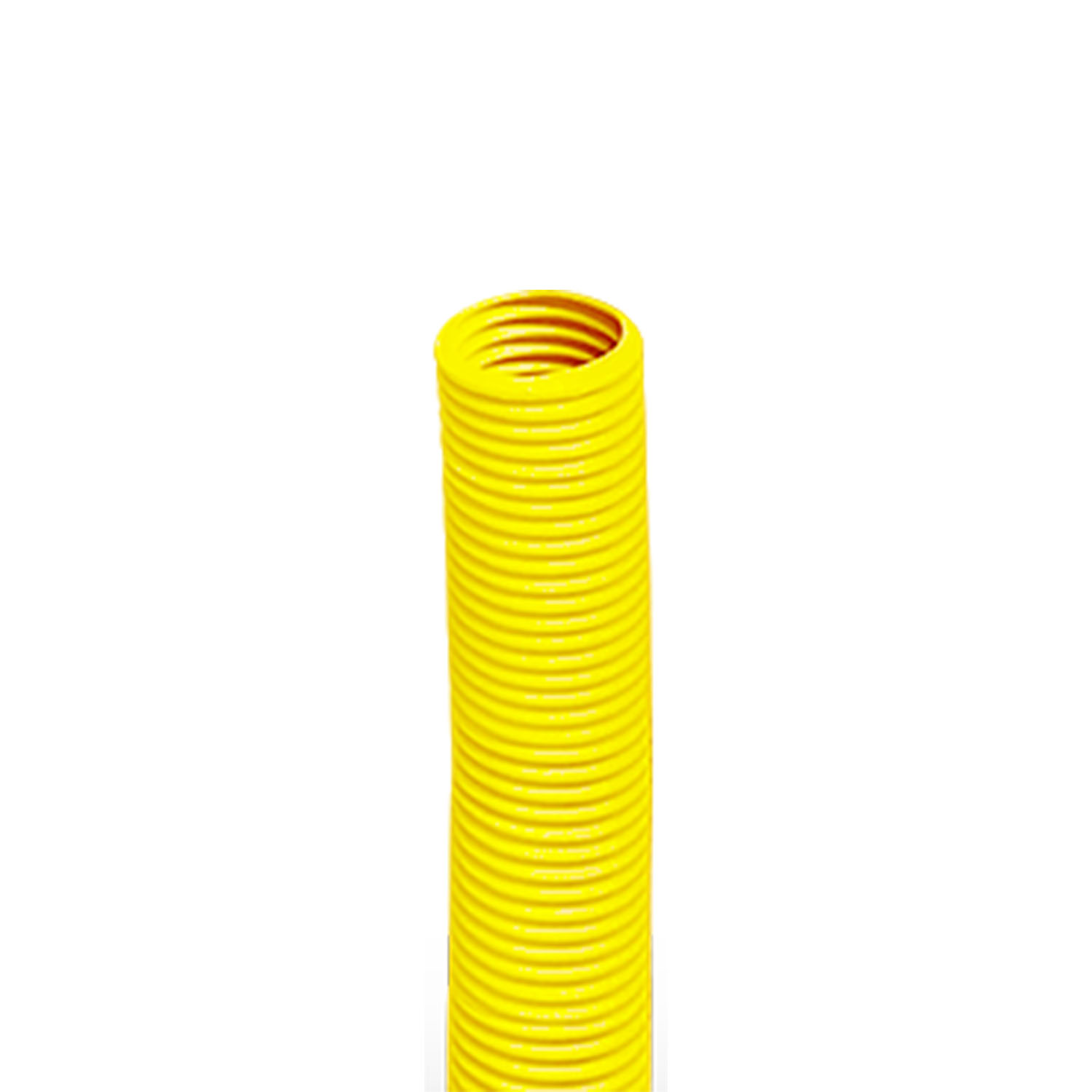 1626221415011_1.jpg 1626221415011_1