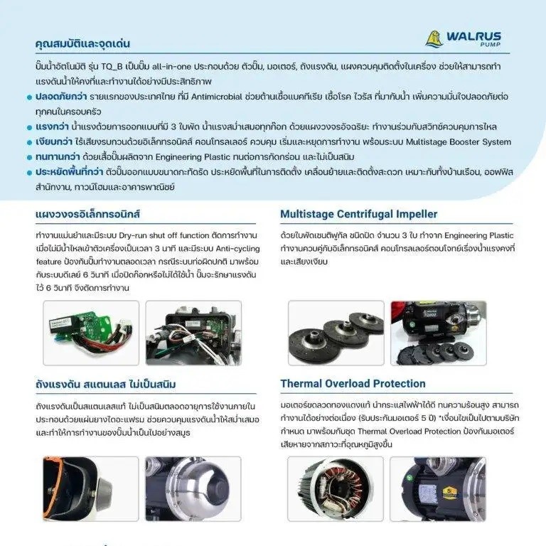 2423182017204_2.jpg 2423182017204_2